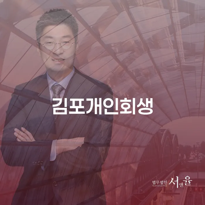 신용카드이용자대출 연체 시 개인회생으로 해결방법 과정을