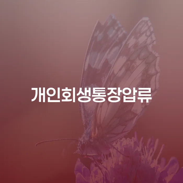 도박개인회생 빚 해결할 추천하는 법률사무소