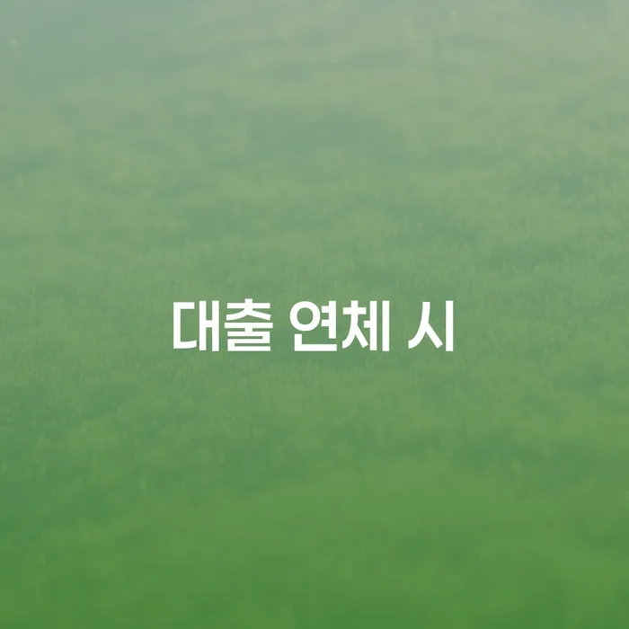대출갚는법 빚갚는 방법 채무조정제도를 이용
