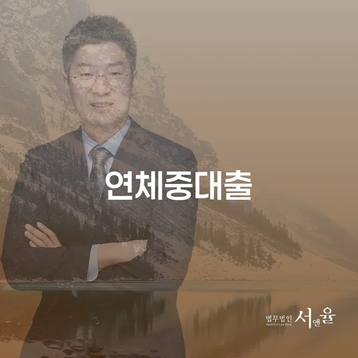캐피탈대출 연체 시 개인회생 문제해결방법 잘하는 법무법인
