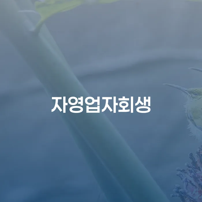 도박개인회생 빚청산 중요정보