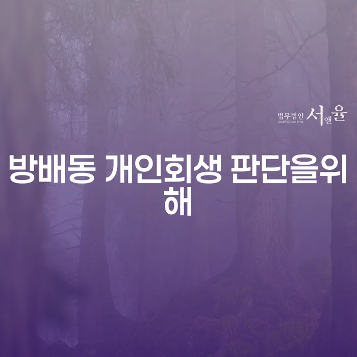 방배동 개인회생 판단을위해
