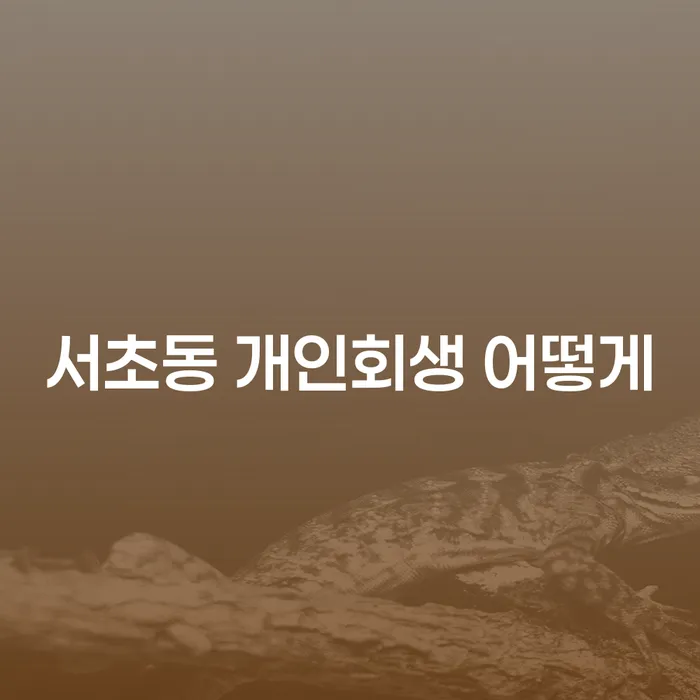 서초동 개인회생 어떻게