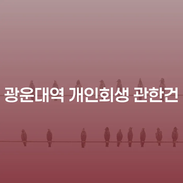 광운대역 개인회생 관한건