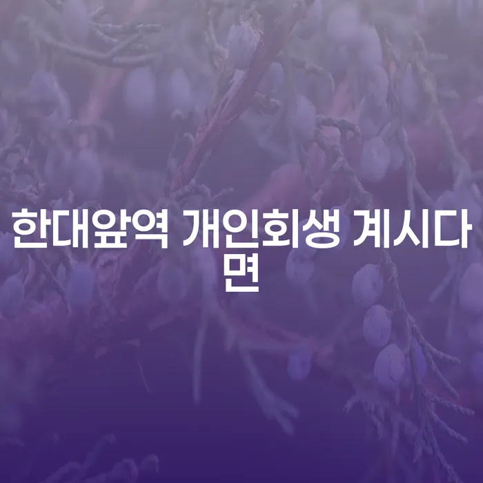 한대앞역 개인회생 계시다면