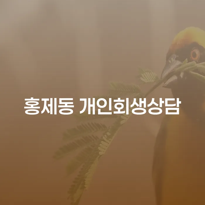 홍제동에서 개인회생 상담을 받아야 하는 이유는 무엇일까요?
