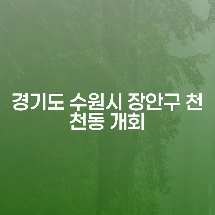 경기도 수원시 장안구 천천동 개회에서 신용회복방법을 찾는 방법은?
