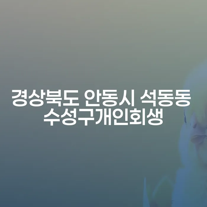 경상북도 안동시 석동동 수성구개인회생, 지금 신청해야 할까요?