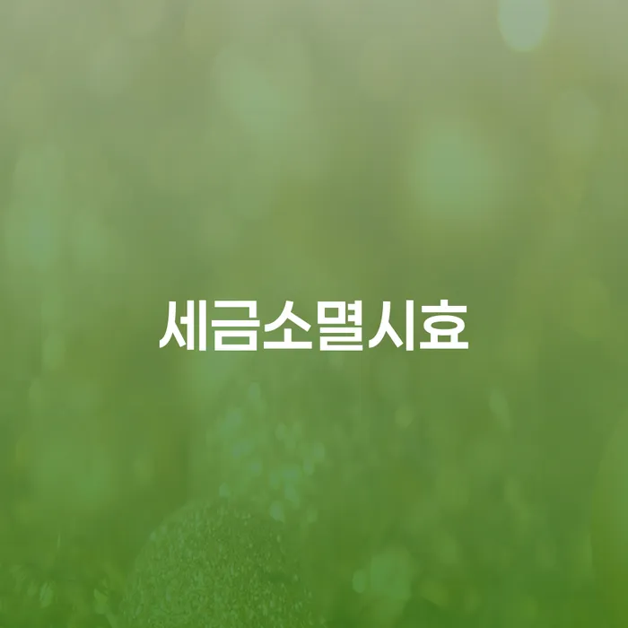 세금소멸시효란 무엇일까요? 그리고 개인회생 이의신청 기간은 어떻게 될까요?