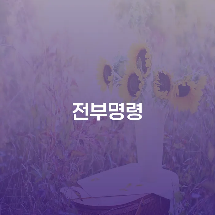 전부명령으로 개인재정 회복, 개인회생 변호사 수임료는 어떻게?