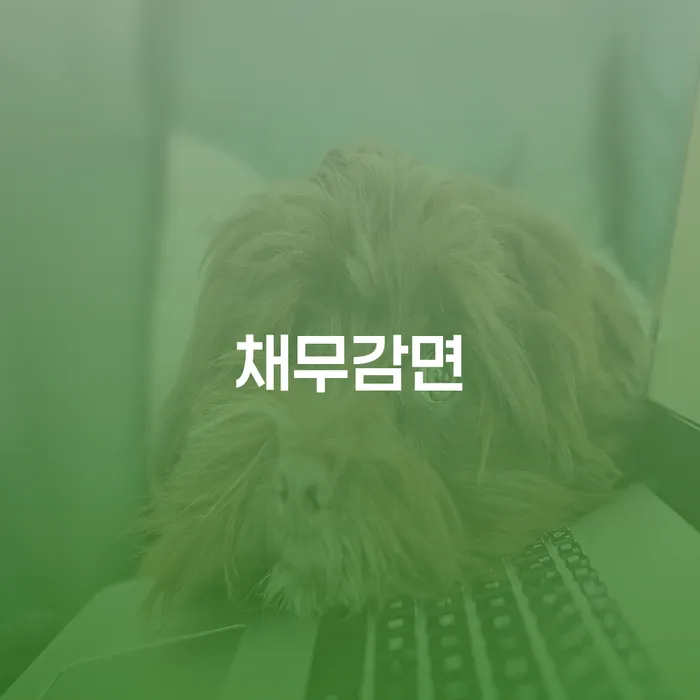채무감면으로 재정 안정을 되찾는 방법은 무엇인가요?